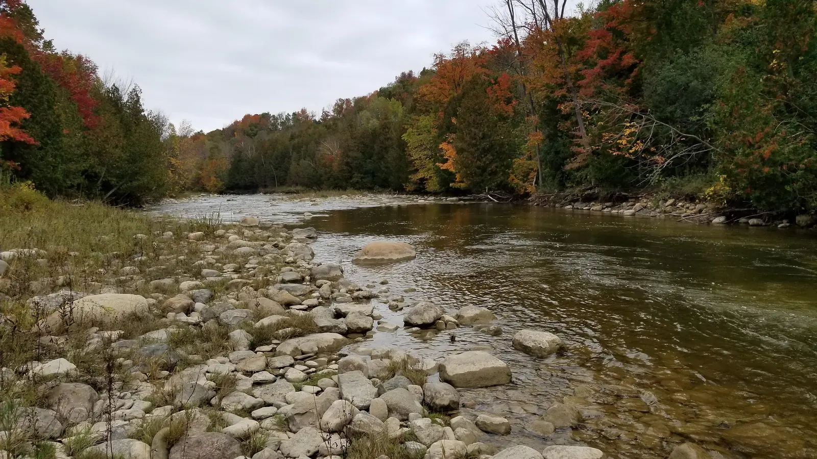 A wide gravel bend of the Bighead River lined with fall colours