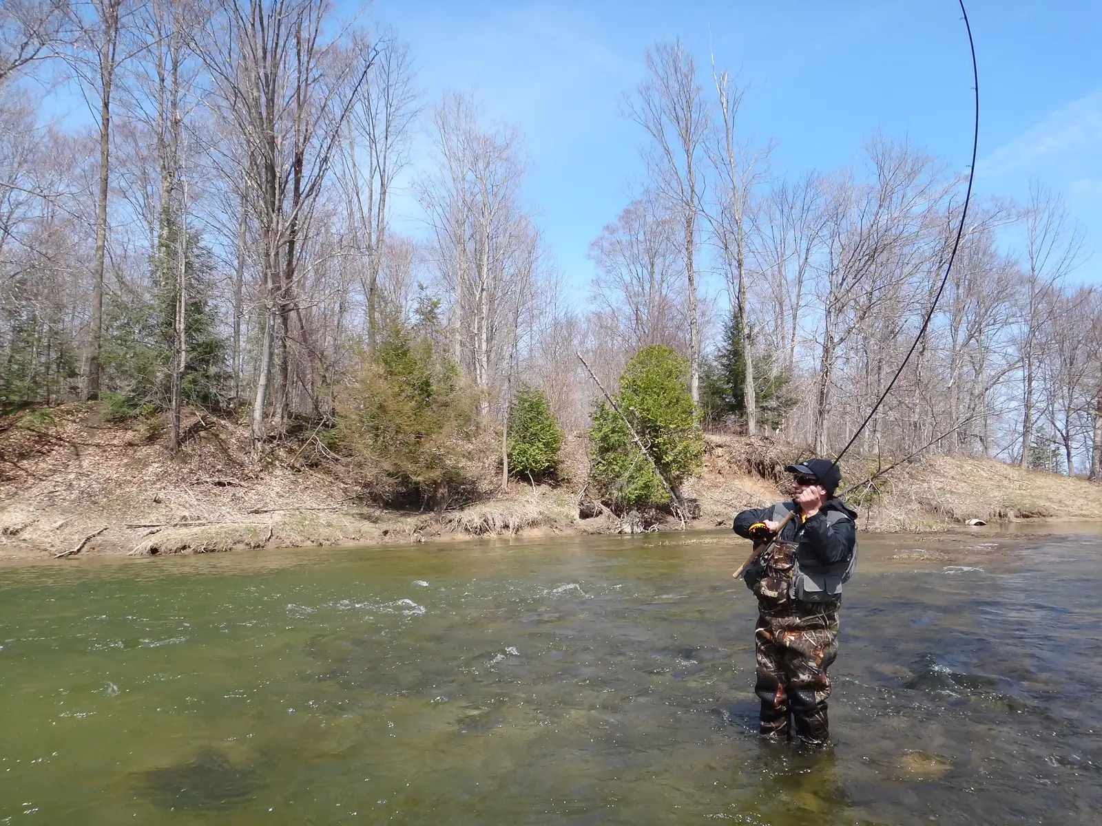 An angler fighting a steelhead on a centerpin rod in spring