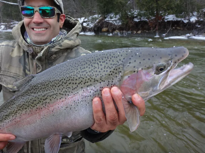 A chrome steelhead held up on a Southern Ontario river