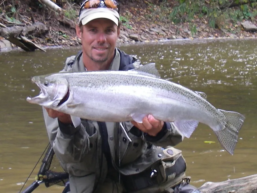 An angler kneeling in a Lake Ontario tributary holding a chrome steelhead before release