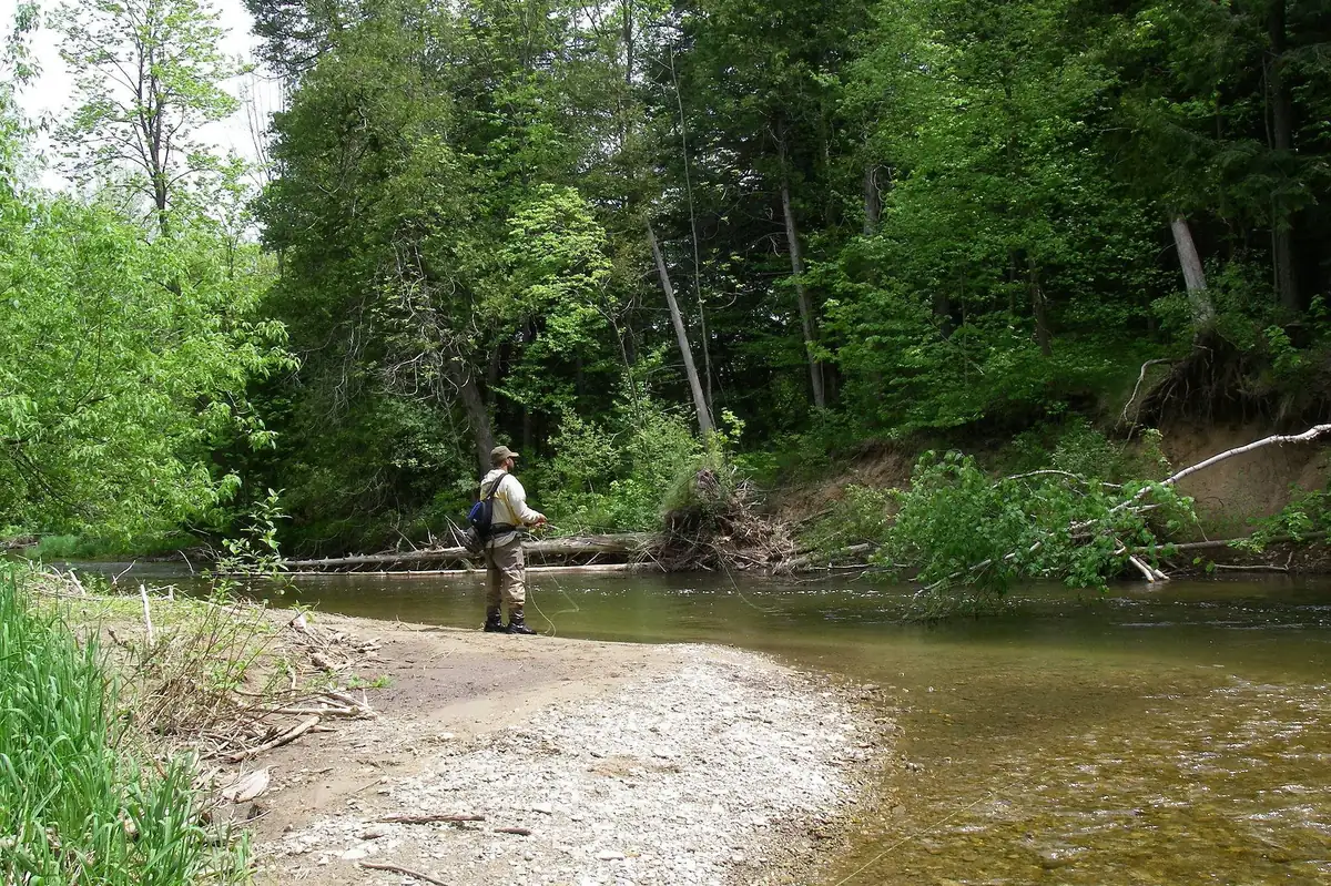 An angler wading a small clear stream, tight-lining through pocket water