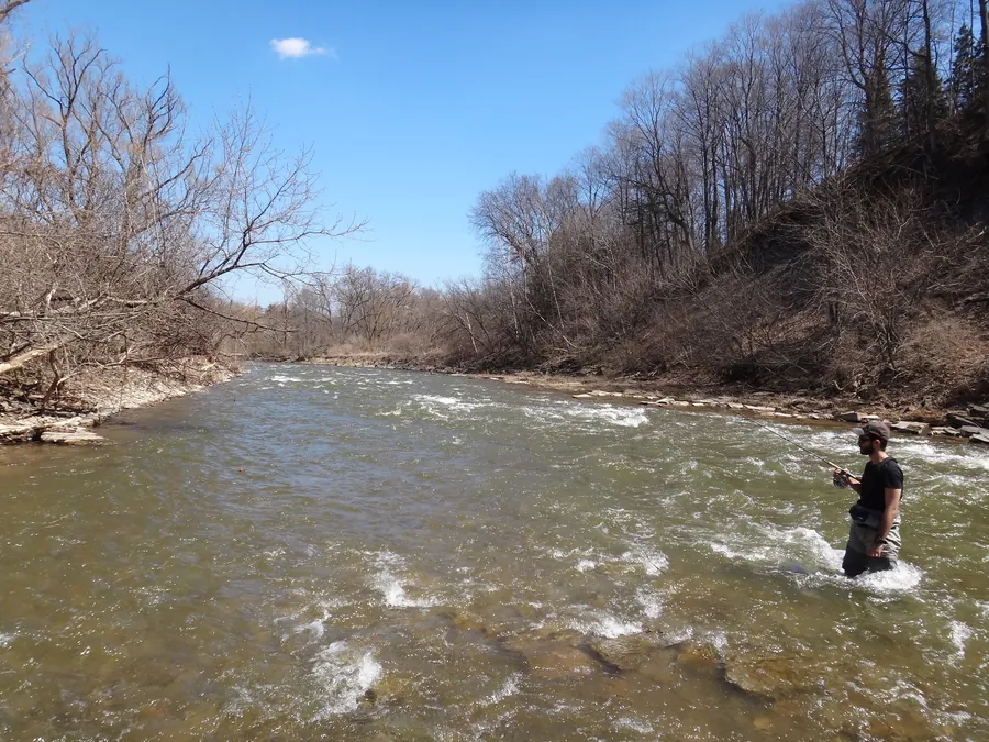 A wide spring stretch of the Credit River with an angler wading under a grey shale bank