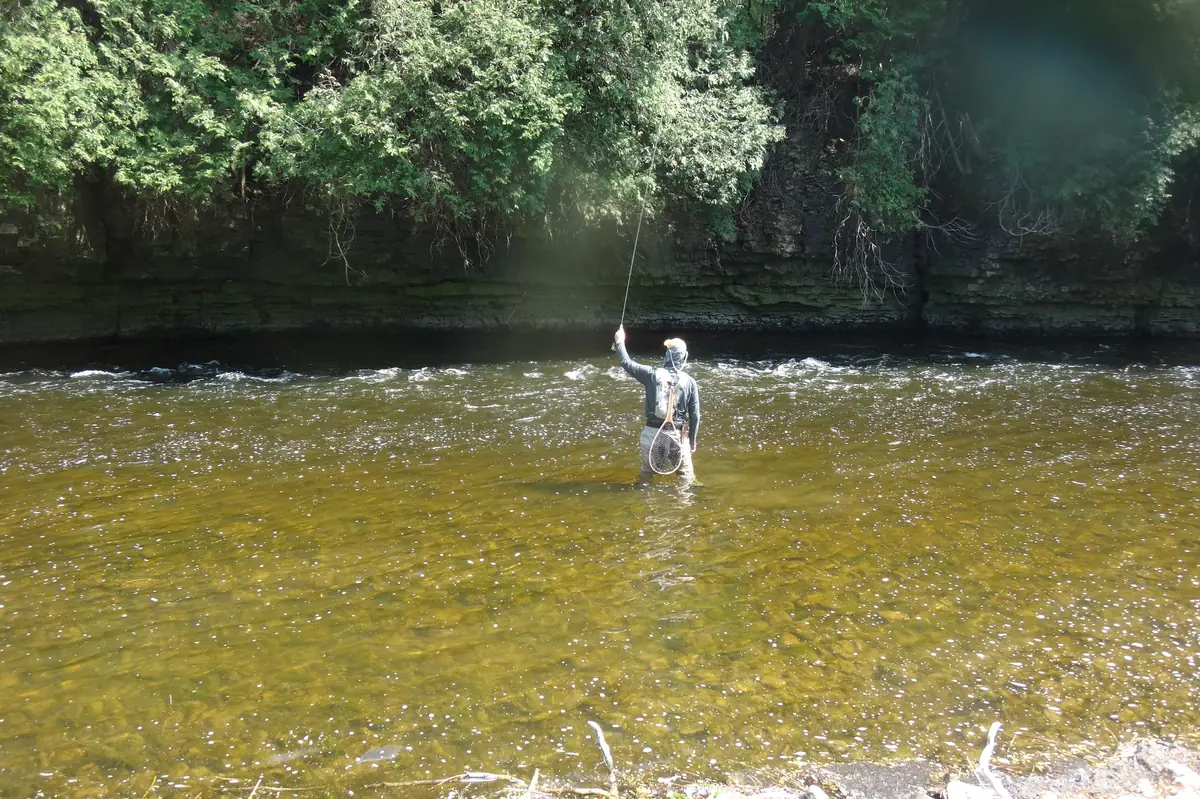 An angler tight-line nymphing mid-river on the Grand, limestone ledges along the far bank