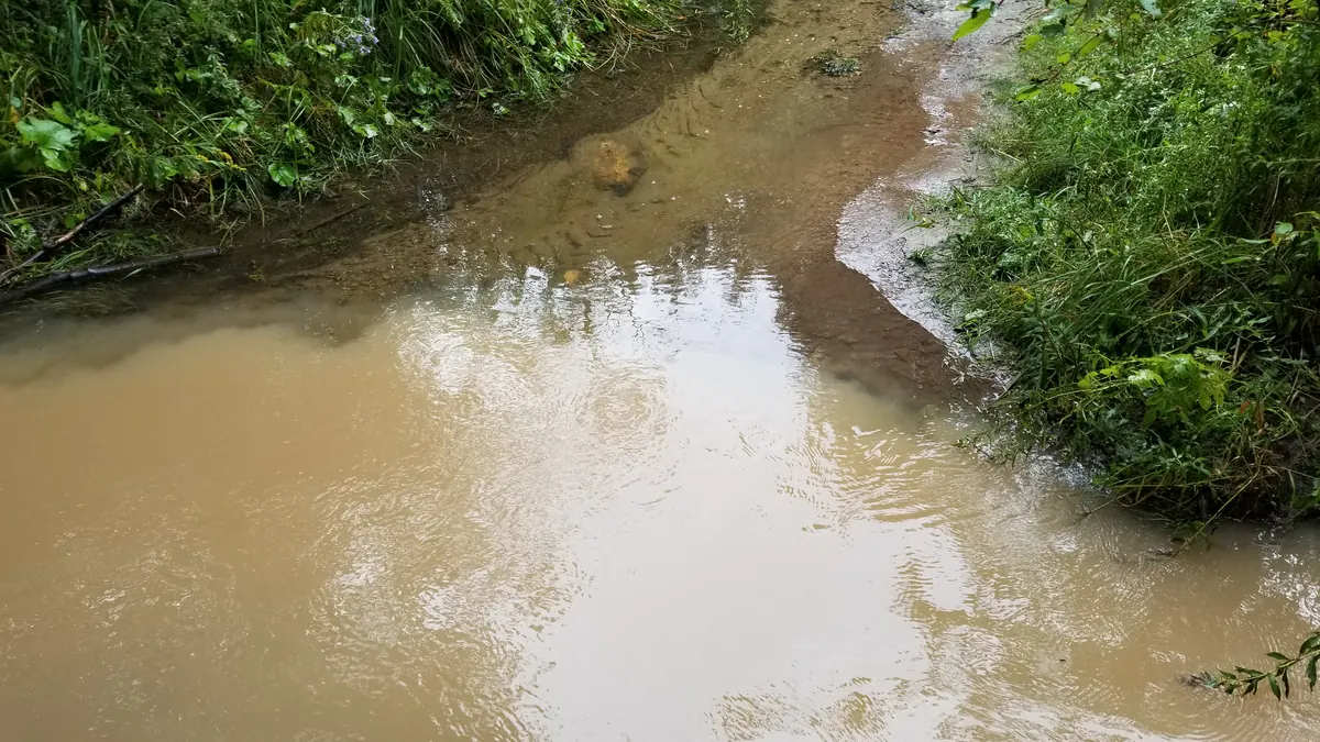 A smaller Southern Ontario river running clear between wooded banks