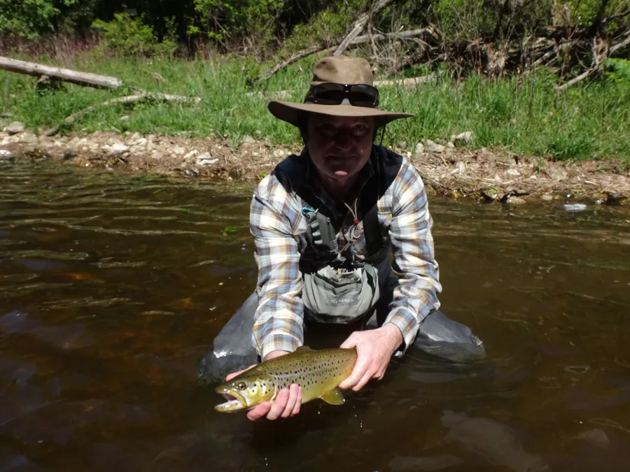 A guide kneeling in a summer river holding a golden brown trout low to the water